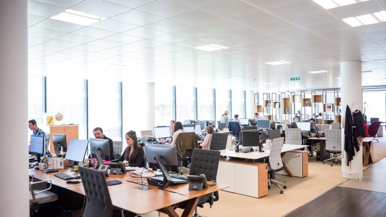 Waarom steeds meer ondernemers kiezen voor een professionele website op maat